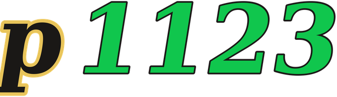 p1123 logo